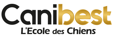 L'Ecole Des Chiens - Specialiste de l'education canine a domicile - Pension pour chien VIP