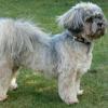 CANNELLE-1 14 ans