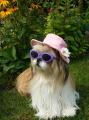 MAYA 6 ans