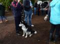 Balade SOS BULLDOG 24/10/2025