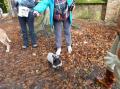 Balade SOS BULLDOG 24/10/2025