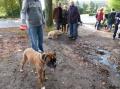 Balade SOS BULLDOG 24/10/2025