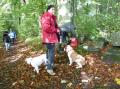 Balade SOS BULLDOG 24/10/2025