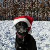 ZORRO 8 ANS