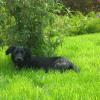 ZORRO 3 ans