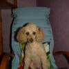 MICKY 13 ans