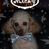Micky