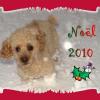 MICKY 13 ans