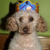 MICKY 13 ans