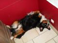 PATOU 2 ans +
