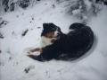 PATOU presque 2 ans