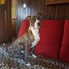 Kaya-01 20 mois