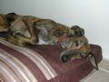 Luna-1 5 ans