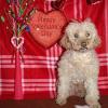 Micky 14ans