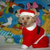 Micky-36 15 ans