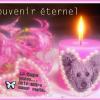 micky-46-souvenir-eternel
