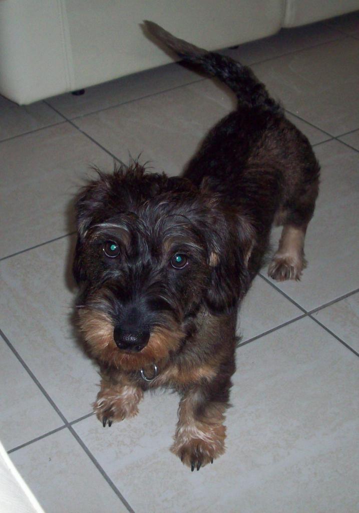 Norbert 8 mois