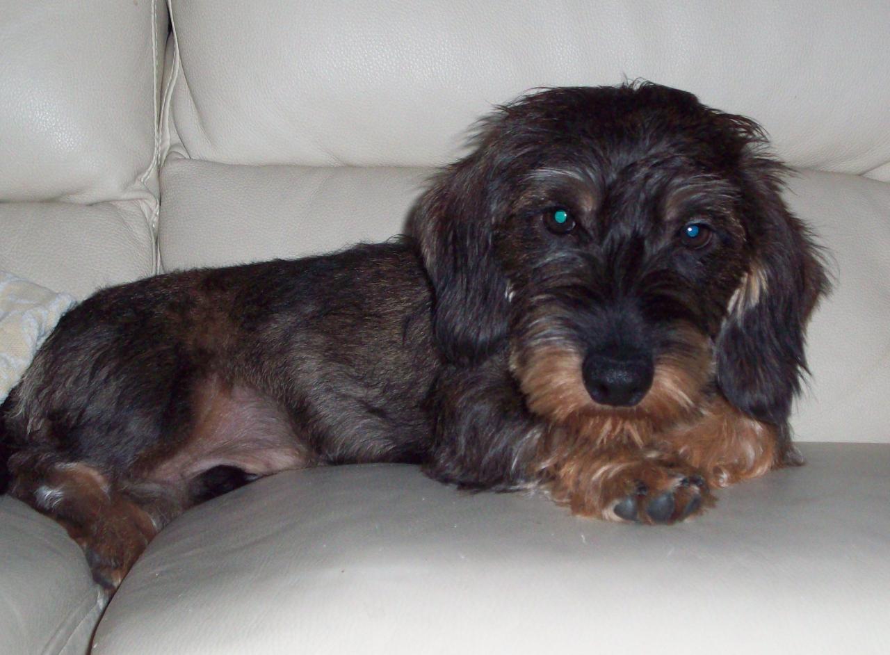 Norbert 7mois