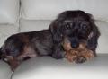 Norbert 7mois