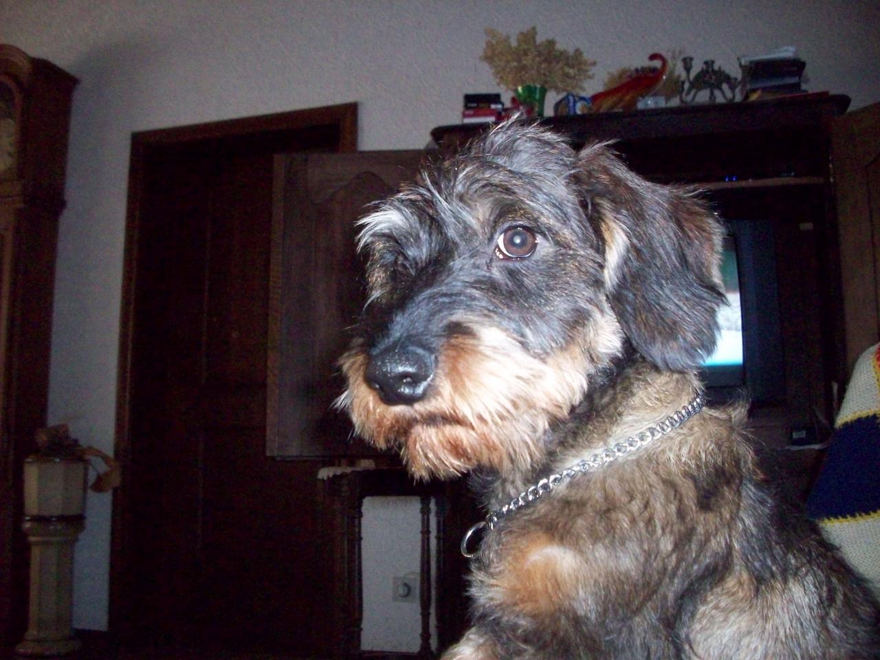 Norbert 7mois