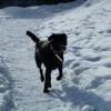 Zorro 10 ans 