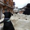 Zorro, balade en calèche