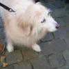 P1050469