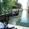 Zorro à Venise 05/2014