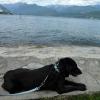 Zorro 11 ans et 1/2, au Lac Majeur