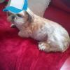 Uschi-111 12 ans