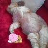 Uschi-112 12 ans
