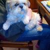 Uschi-113 12 ans