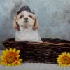 Uschi-114 12ans