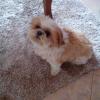 Uschi-116 12 ans