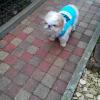 Uschi-117 12 ans