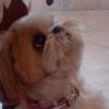 Uschi-120 12 ans