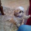 Uschi-121 12 ans