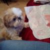 Uschi-122 12 ans