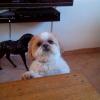 Uschi-123 12 ans