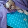Uschi-131 13 ans