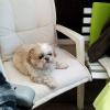 Uschi-147 13 ans