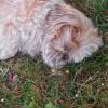 Uschi-148 13ans