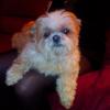 Uschi-160 14 ans