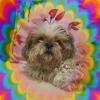 Uschi-167 14 ans