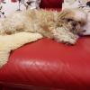Uschi-172 14 ans