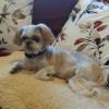 Uschi-175 14 ans