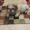 Uschi-176 14 ans