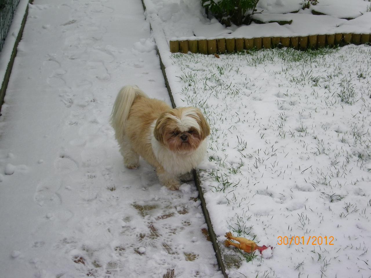USCHI 8 ans