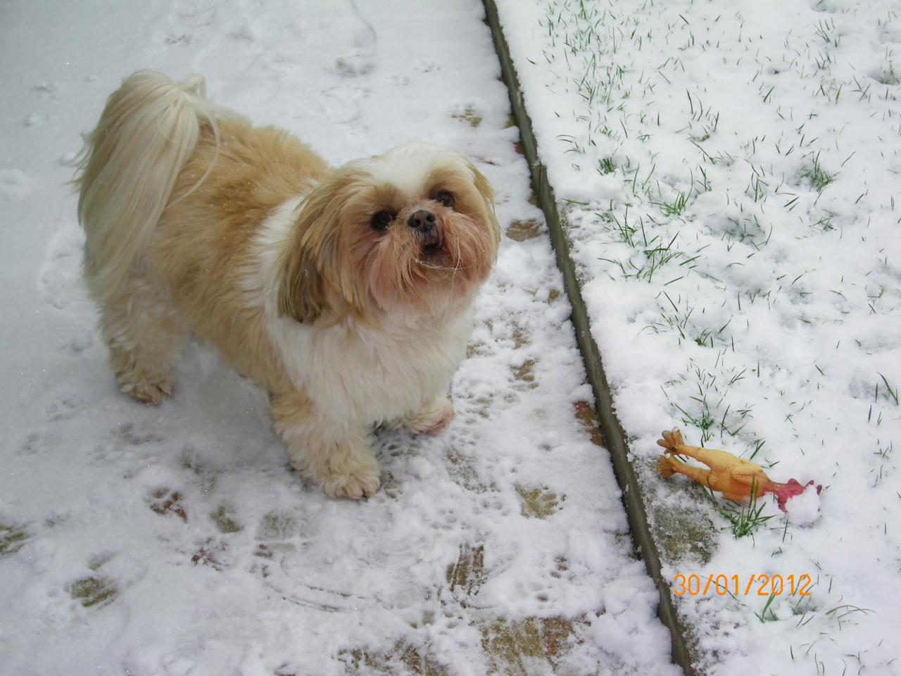 USCHI 8ans