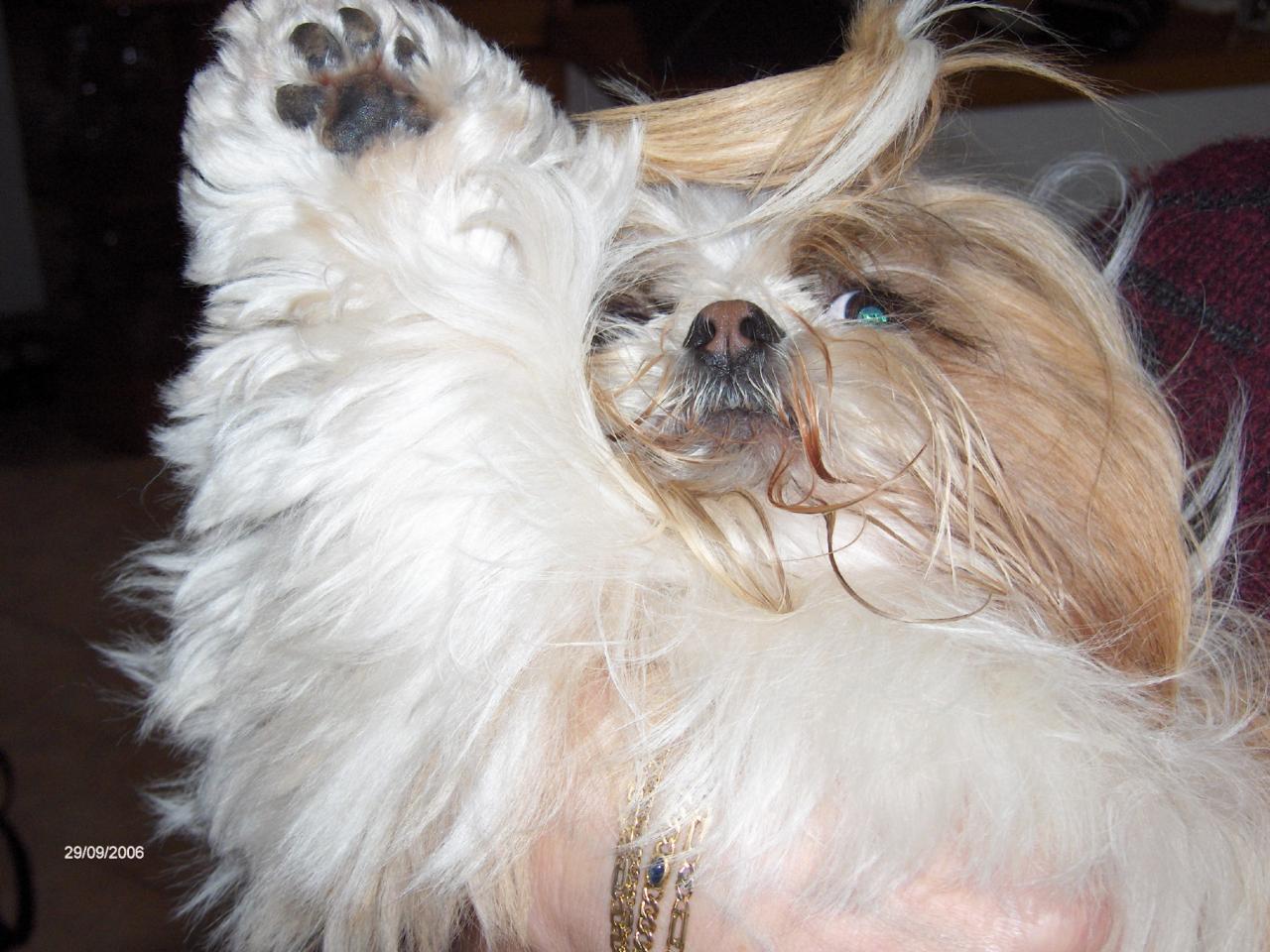 USCHI 8ans